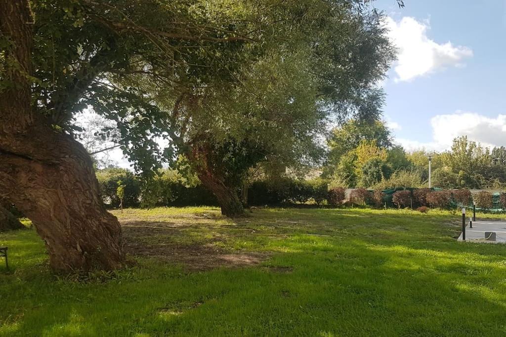 Demeure En Pierre Avec Piscine Privee Villa Etauliers Buitenkant foto
